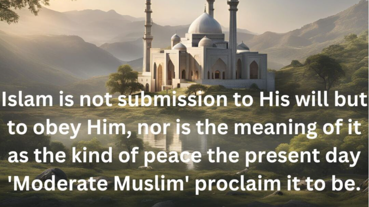 Islam, its True Meaning